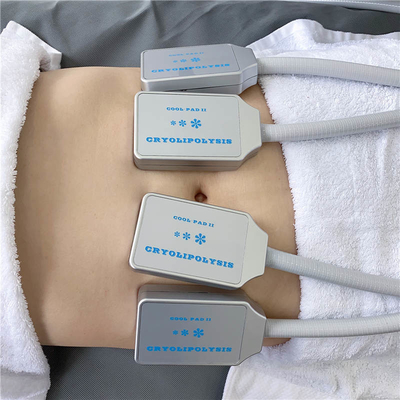 4 μηχανή λαβών 30Hz Cryolipolysis EMS για το αδυνάτισμα σώματος