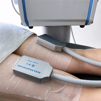 η παχιά μηχανή παγώματος 20Hz Cryolipolysis με το μυ EMS υποκινεί