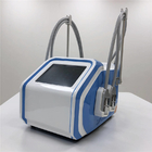 Ελαφριά φορητή μηχανή φυσιοθεραπείας EMS, μηχανή εγχώριου Cryolipolysis