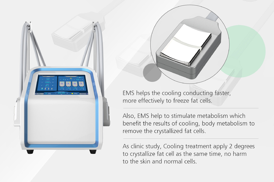 4 μηχανή λαβών 30Hz Cryolipolysis EMS για το αδυνάτισμα σώματος