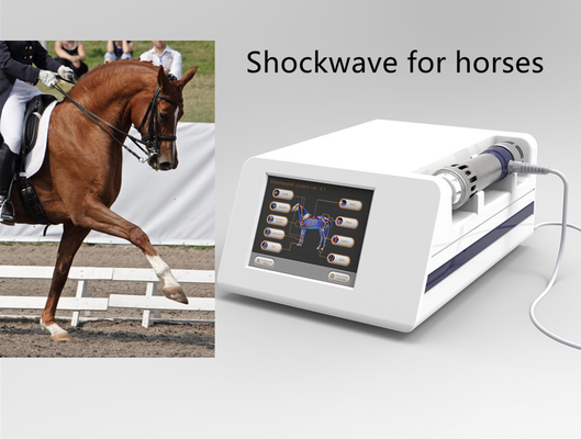 16Hz κτηνιατρική Shockwave λέιζερ μηχανή θεραπείας