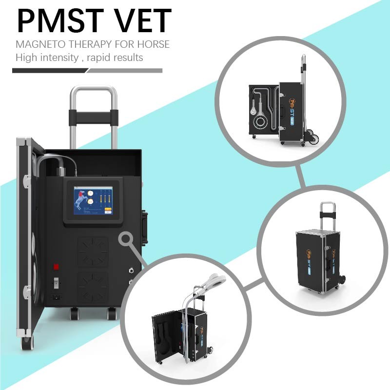 Μηχανή θεραπείας κρουστικών κυμάτων EMTT 4 Tesla Veterinary Device for Horse My Stimulation