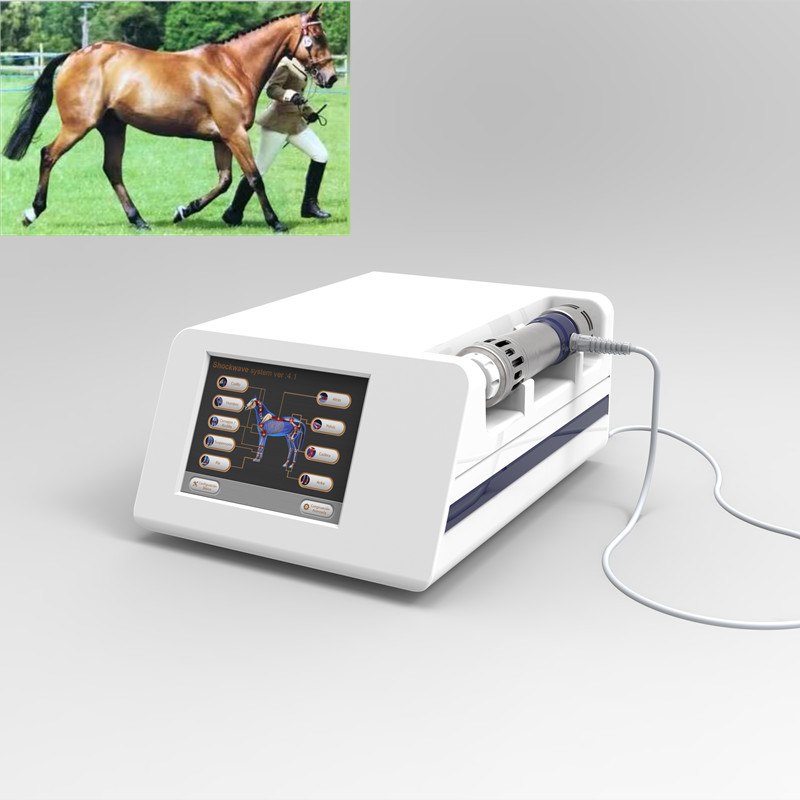 1Hz ίππεια μηχανή θεραπείας κρουστικών κυμάτων για τα άλογα